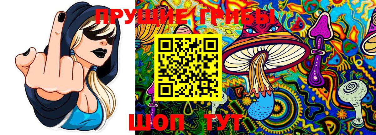 Псилоцибиновые грибы Cubensis  Вход с VPN  Самара 